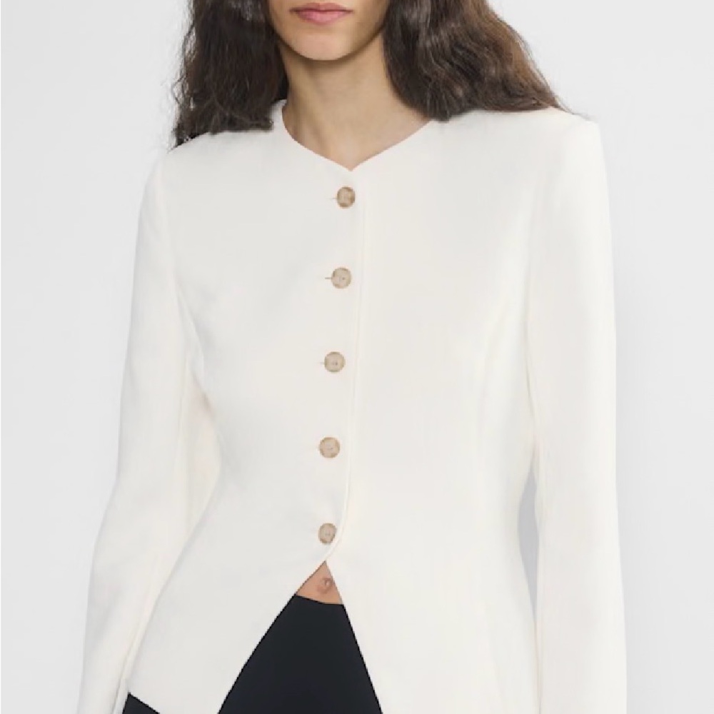 Aritzia Regal Blazer